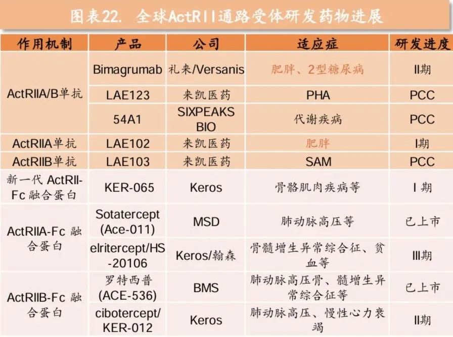 Bimagrumab、LAE123、LAE102、KER-065等ActRII通路受体药物研发进展表