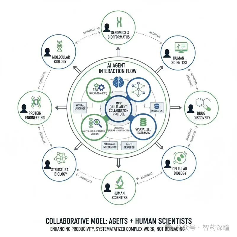 AI Agent连接基因组学、生物信息学、分子生物学、蛋白质工程、结构生物学、细胞生物学、药物发现与人类科学家的协作体系示意图