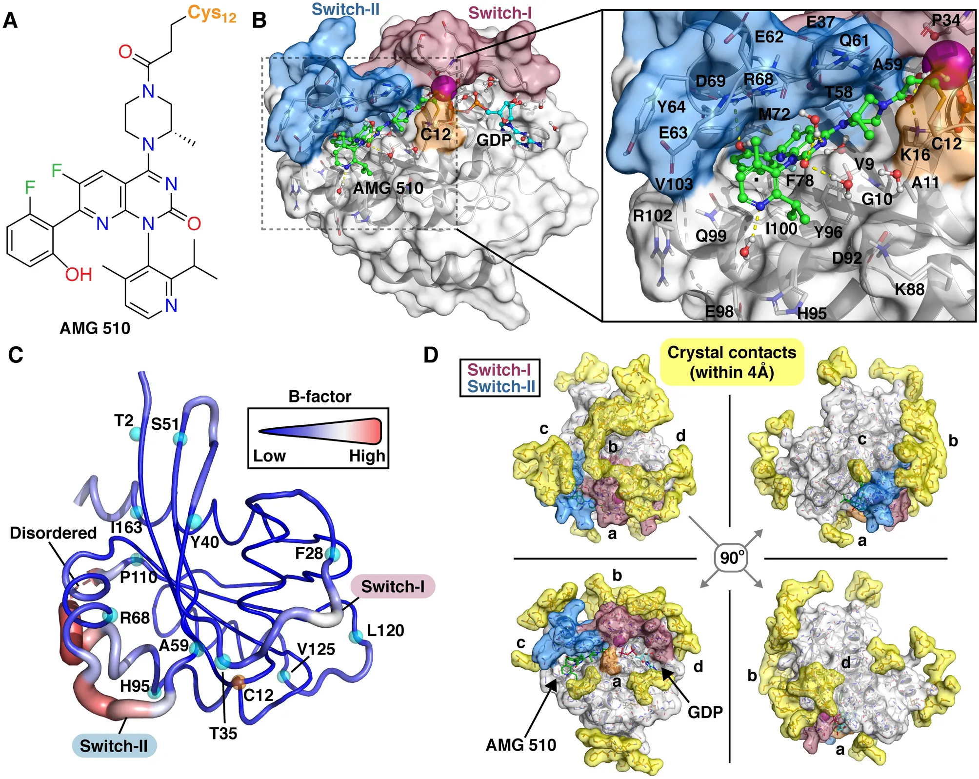 Chemical structure of AMG 510 and its binding structure in the KRAS G12C Switch-II pocket