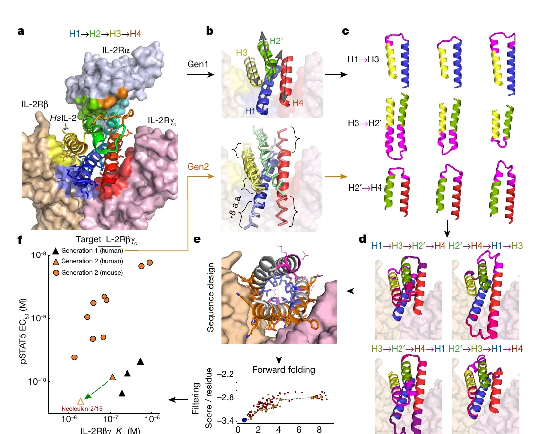 Computational design workflow for generating the de novo cytokine mimic Neo-2/15